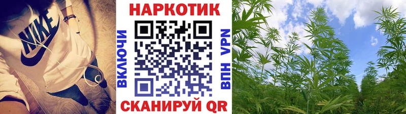 APVP Холм