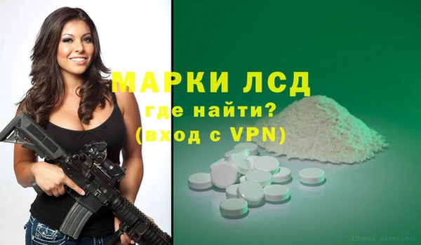 PSILOCYBIN Алзамай
