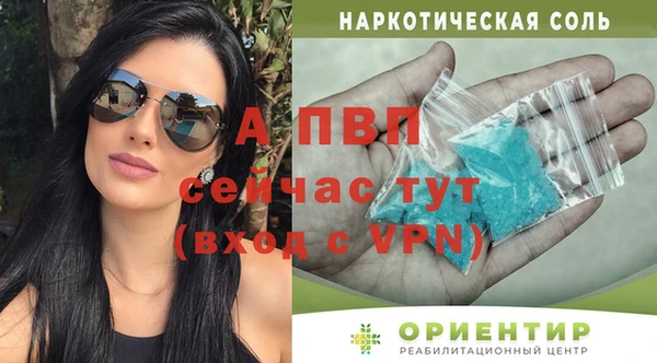 apvp Аркадак