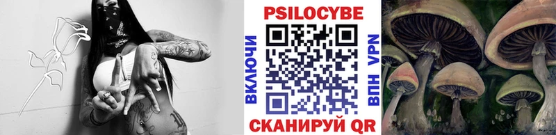 Галлюциногенные грибы Magic Shrooms  Холм 